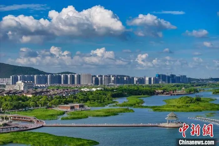 熊猫体育资讯：苏超联赛你真是“人均梗王”啊！(图2)