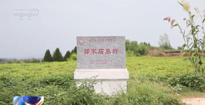 熊猫体育资讯：看小说学盗墓挖走20余件国宝特大盗墓案细节曝光(图4)