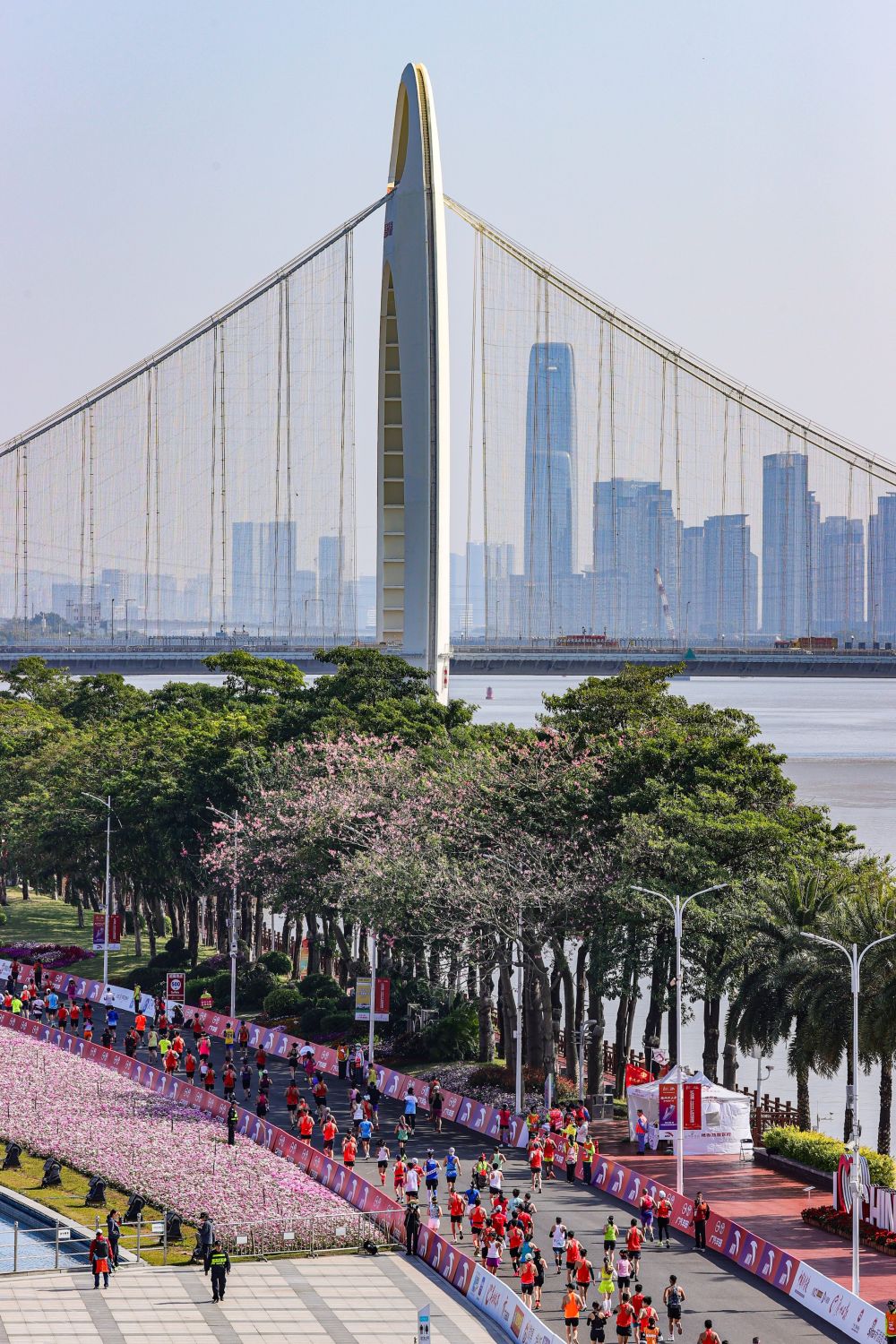 熊猫体育：以“体育”的方式打开粤港澳不止在全运(图7)