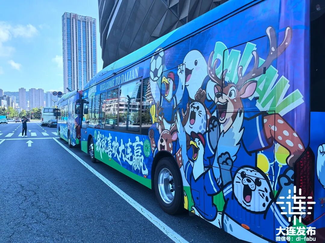 熊猫体育资讯：这一年大连足球归来“亚洲第一主场”炼成！(图5)