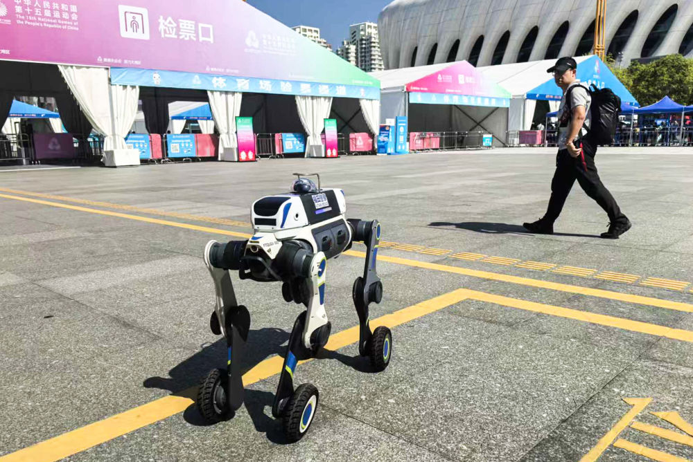 熊猫体育资讯：十五运盛会落幕体育之光照亮大湾区融合新征程(图18)