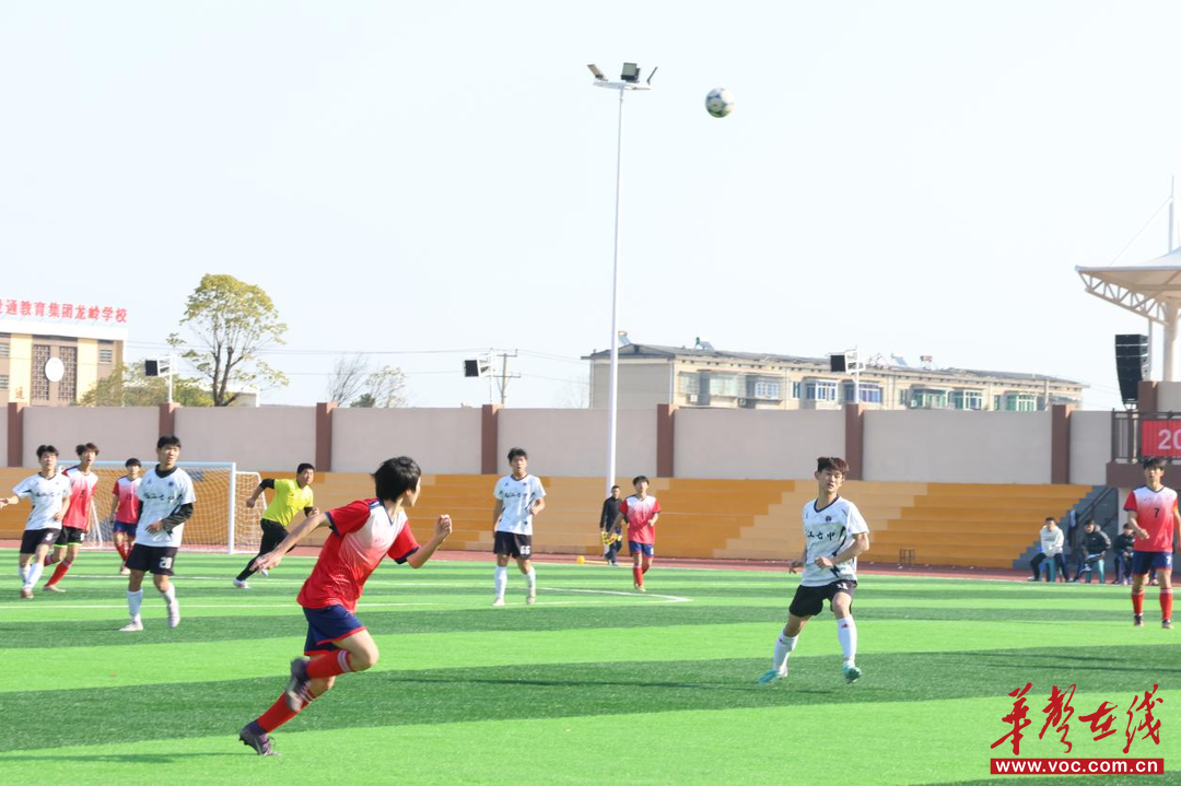 熊猫体育：2025年益阳市中小学生足球比赛圆满收官五大组别冠军荣耀加冕(图2)