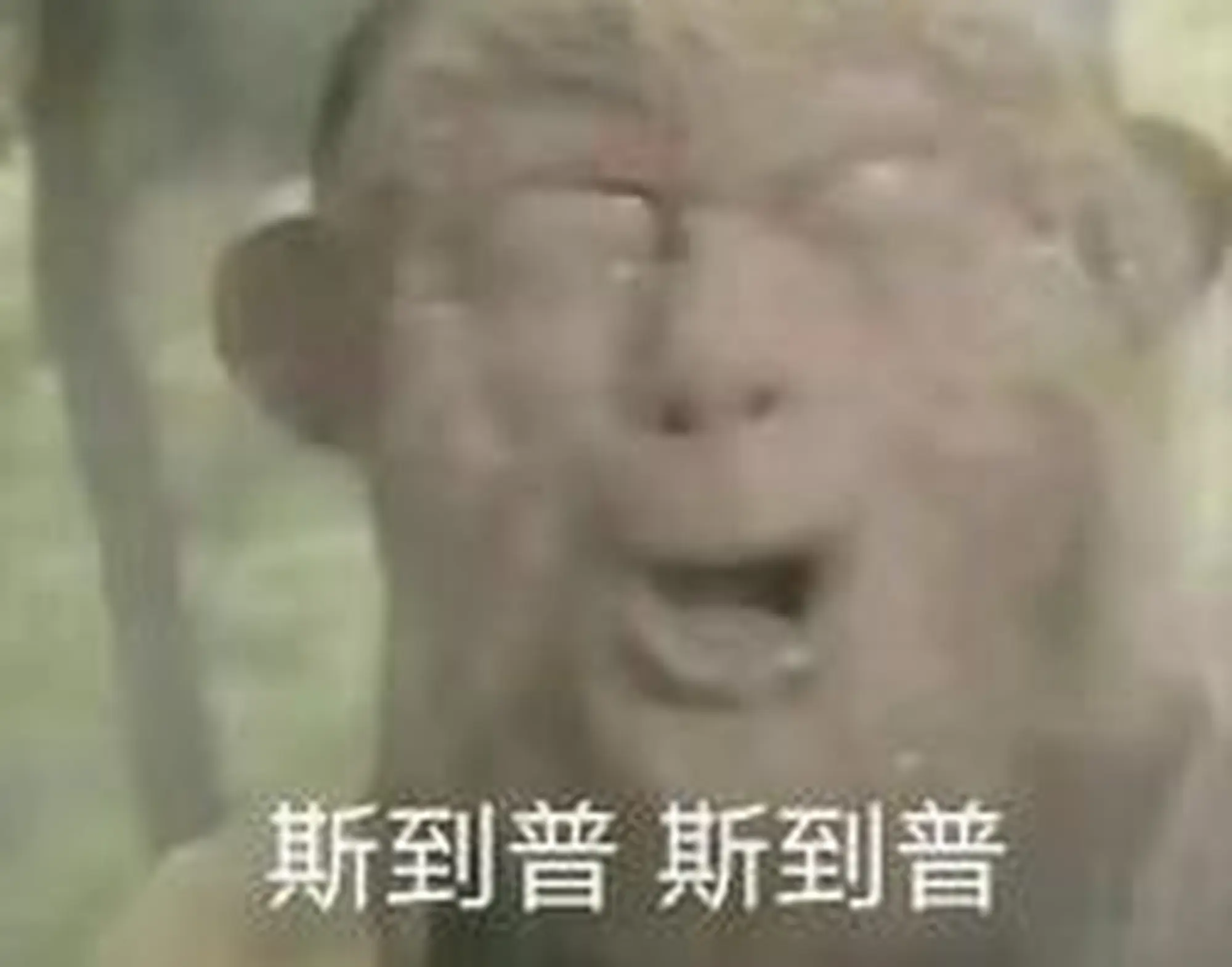 熊猫体育：流言板]山西女篮官宣：澳大利亚三人篮球国手玛琳娜-惠特尔加入球队(图2)