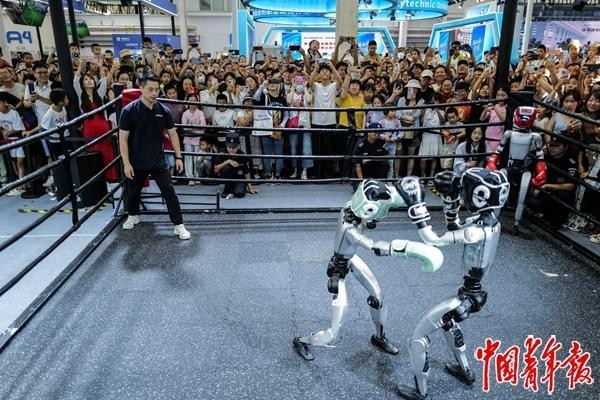 熊猫体育：2025文化气象：遗产新生文艺破圈青年弄潮(图5)