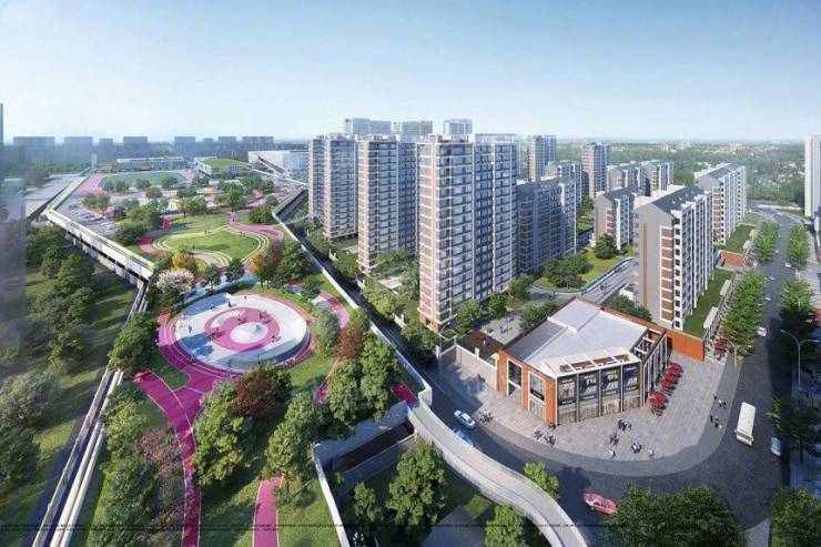 招商奥体公园项目电话号码-学区(图3)