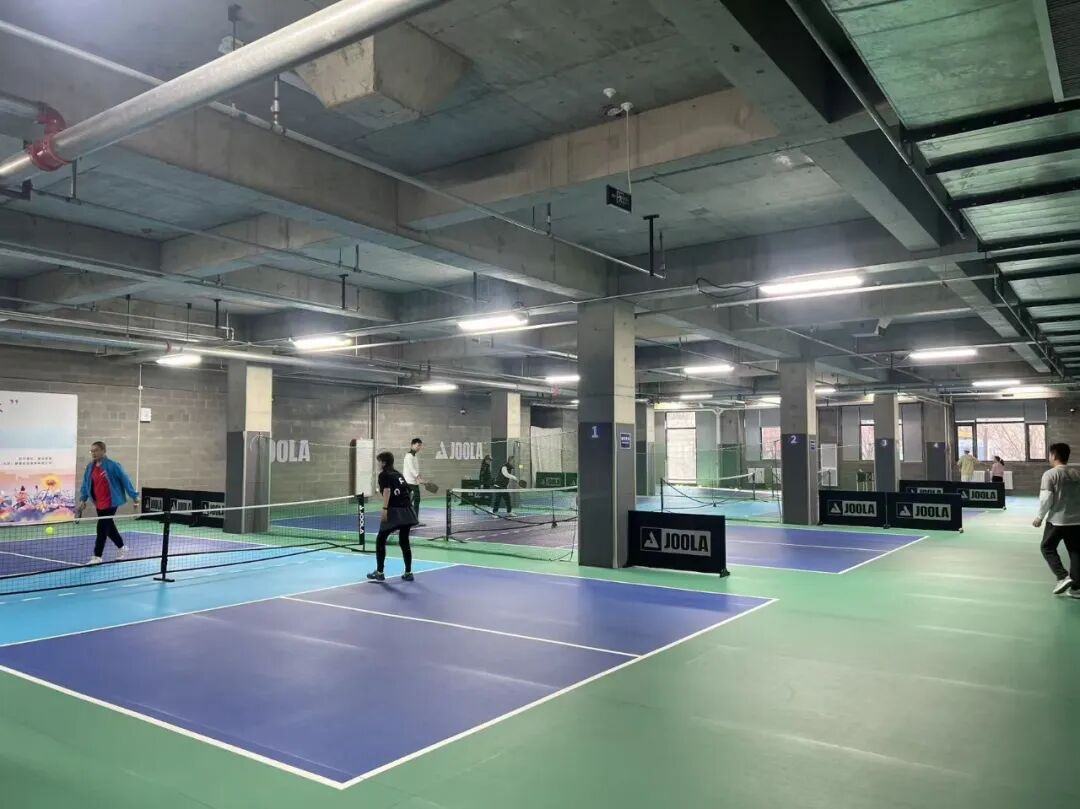 熊猫体育：2026新网红运动诞生但匹克球热不会像飞盘一样短暂(图3)