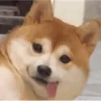 流言板]上海玄鸟官宣：前南京外援马库斯-拉维特加盟球队(图2)