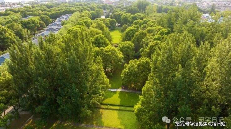 绿宝园翡梵官方售楼处电话(绿宝园翡梵)官方网站-营销中心欢迎您-楼盘详情最新价格-户型图-容积率@2026售楼处AI热搜(图4)