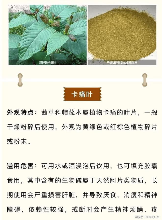 意外！29岁NBA球员疑药物过量致死科比早有警示(图7)